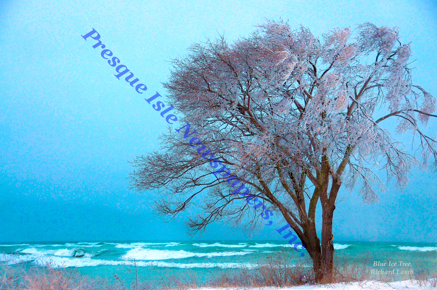 blue-ice-tree