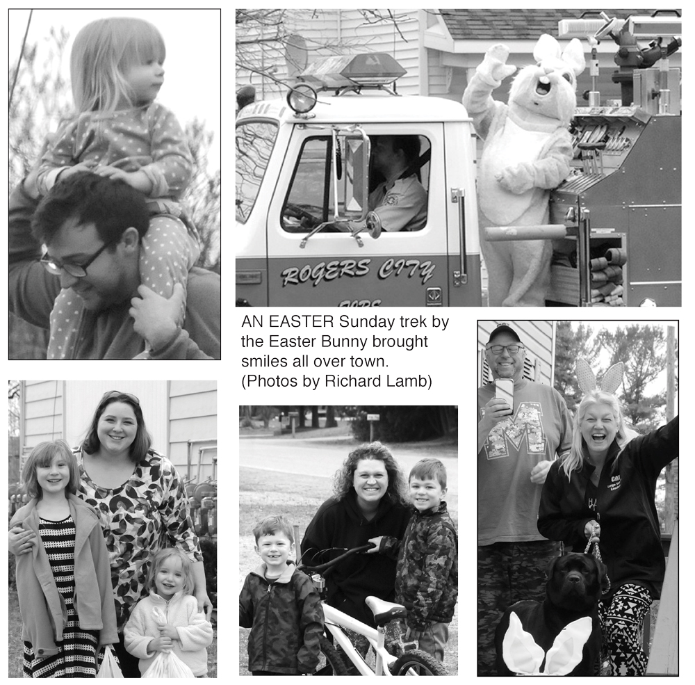 1620-more-easter-bunny